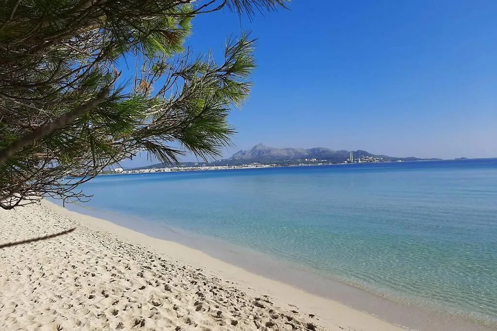Apartment Francesca Beach With Pool In Playa De Alcudia