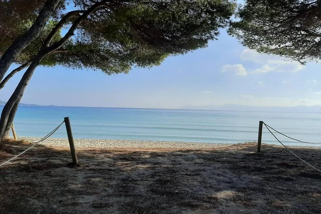 Apartment Francesca Beach With Pool In Playa De Alcudia