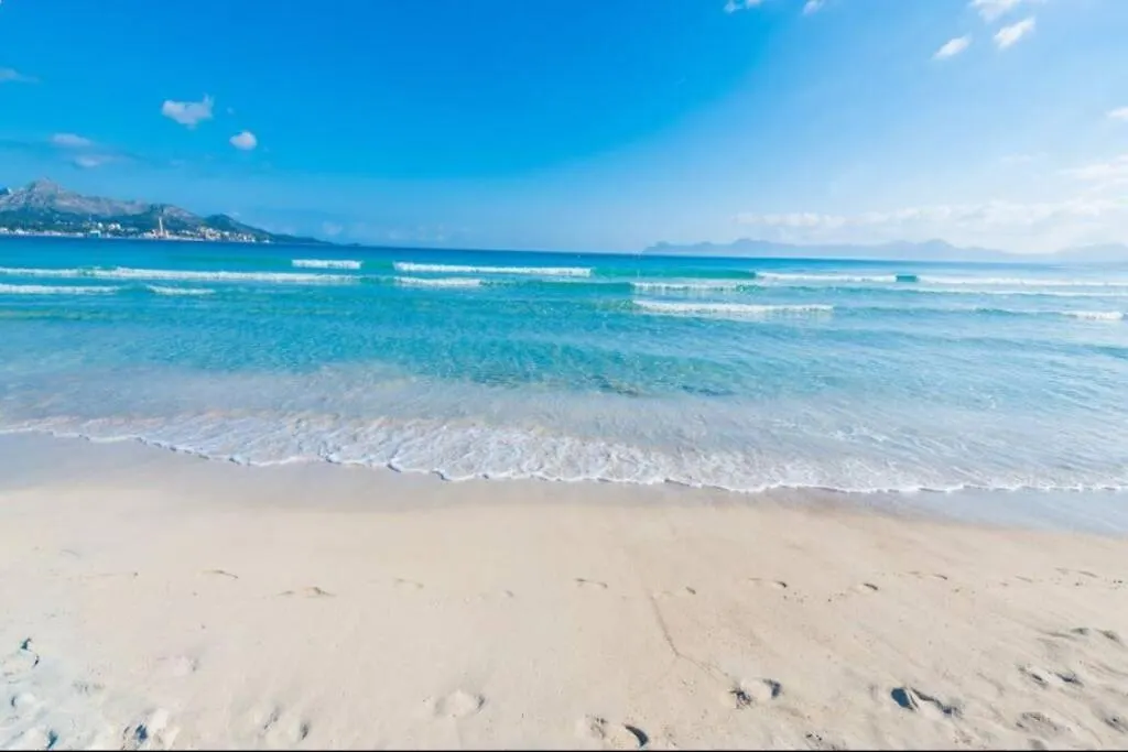 Apartment Francesca Beach With Pool In Playa De Alcudia