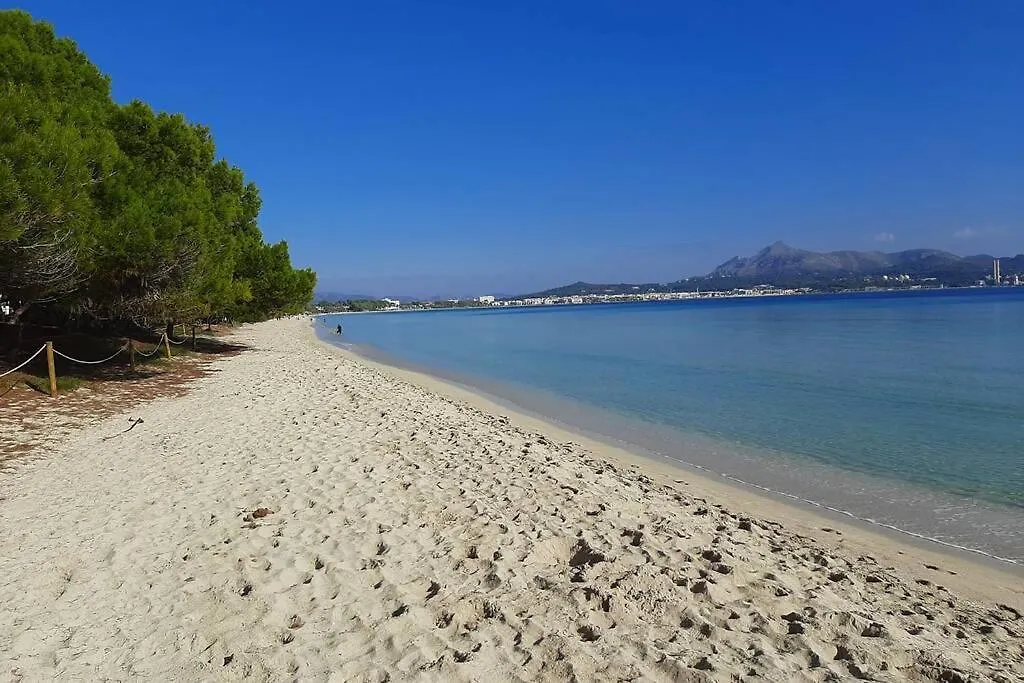 Apartment Francesca Beach With Pool In Playa De Alcudia